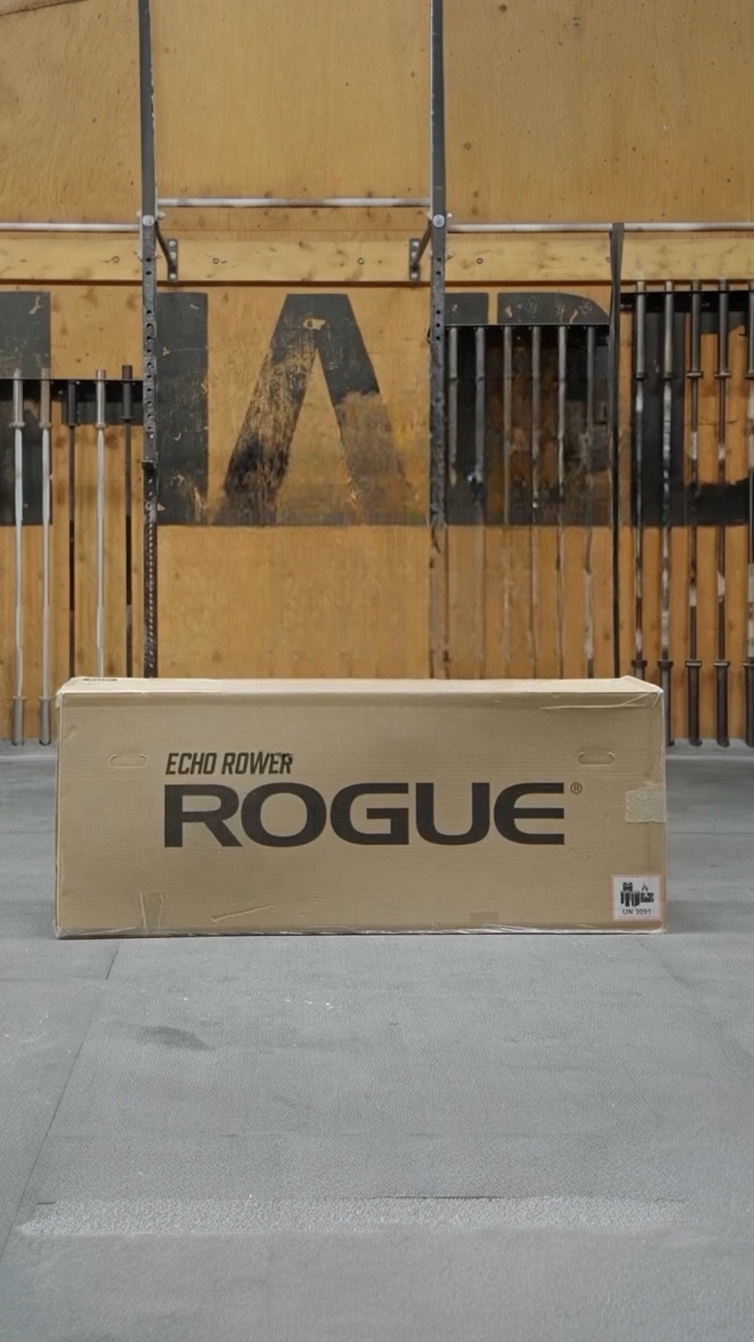 ROGUE ECHO ROWER V1