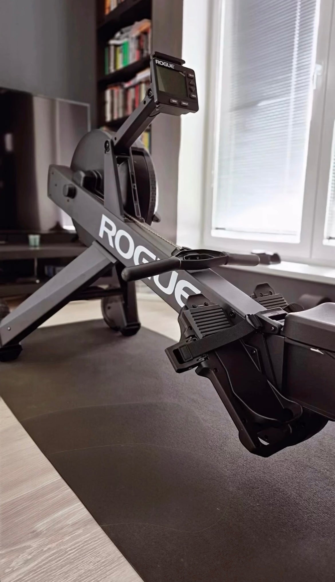 ROGUE ECHO ROWER V1