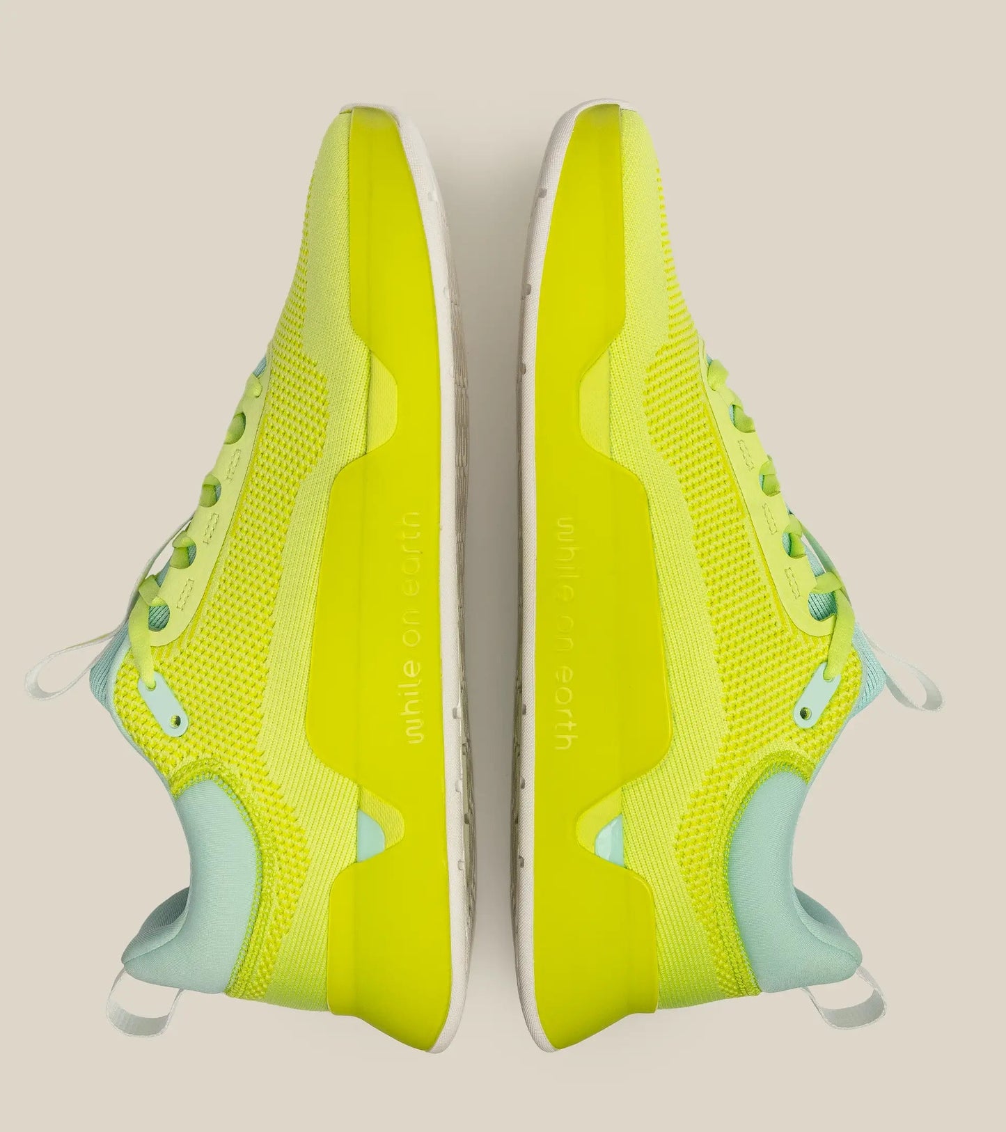 WHILE ON EARTH MOVE TRAINER