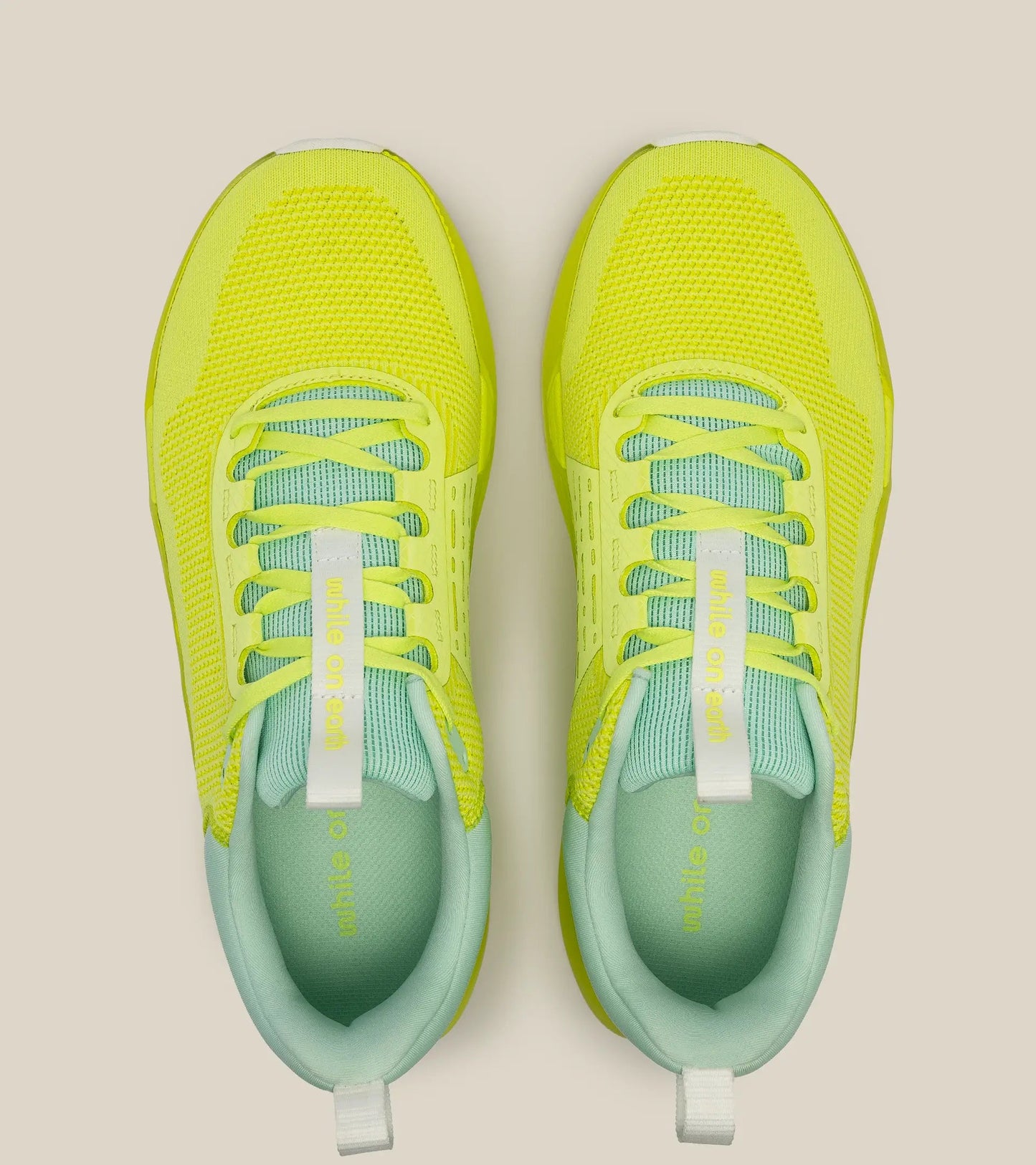 WHILE ON EARTH MOVE TRAINER