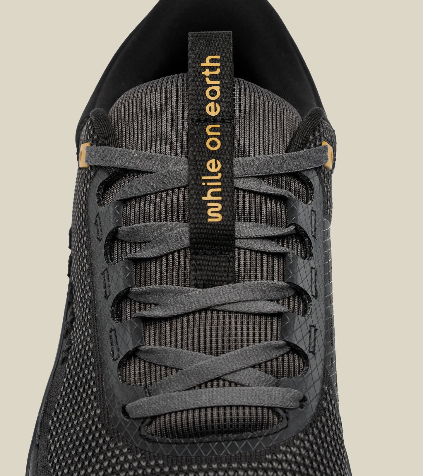 While on earth limited edition legacy move trainer
