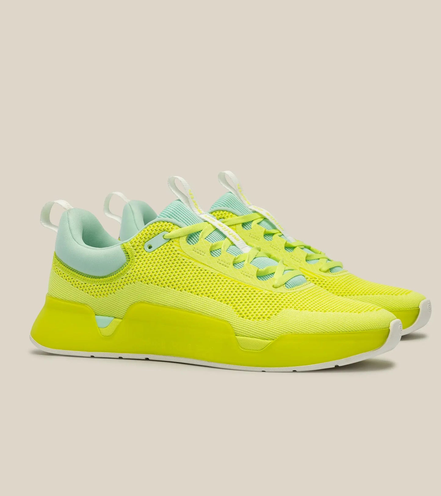 WHILE ON EARTH MOVE TRAINER