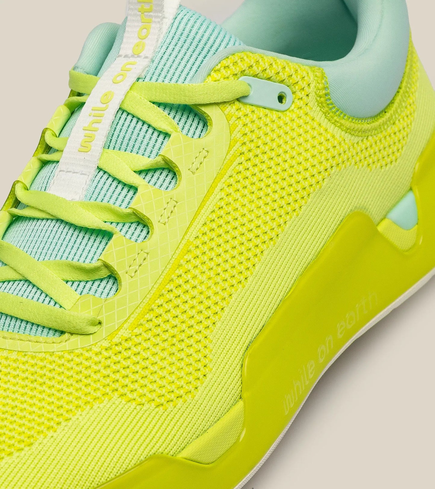 WHILE ON EARTH MOVE TRAINER
