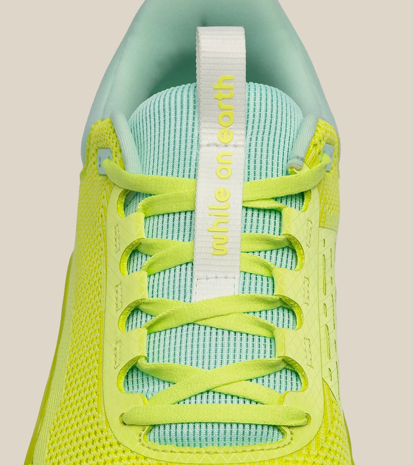 WHILE ON EARTH MOVE TRAINER