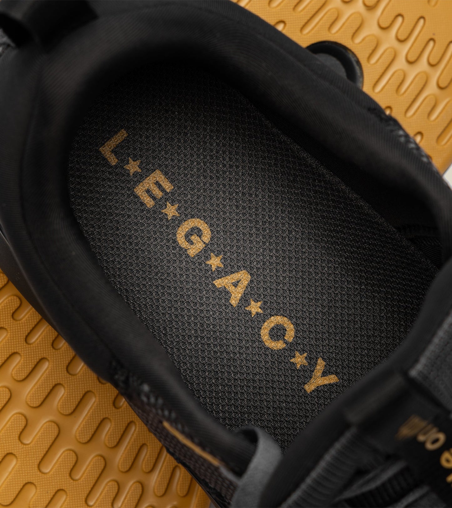 While on earth limited edition legacy move trainer