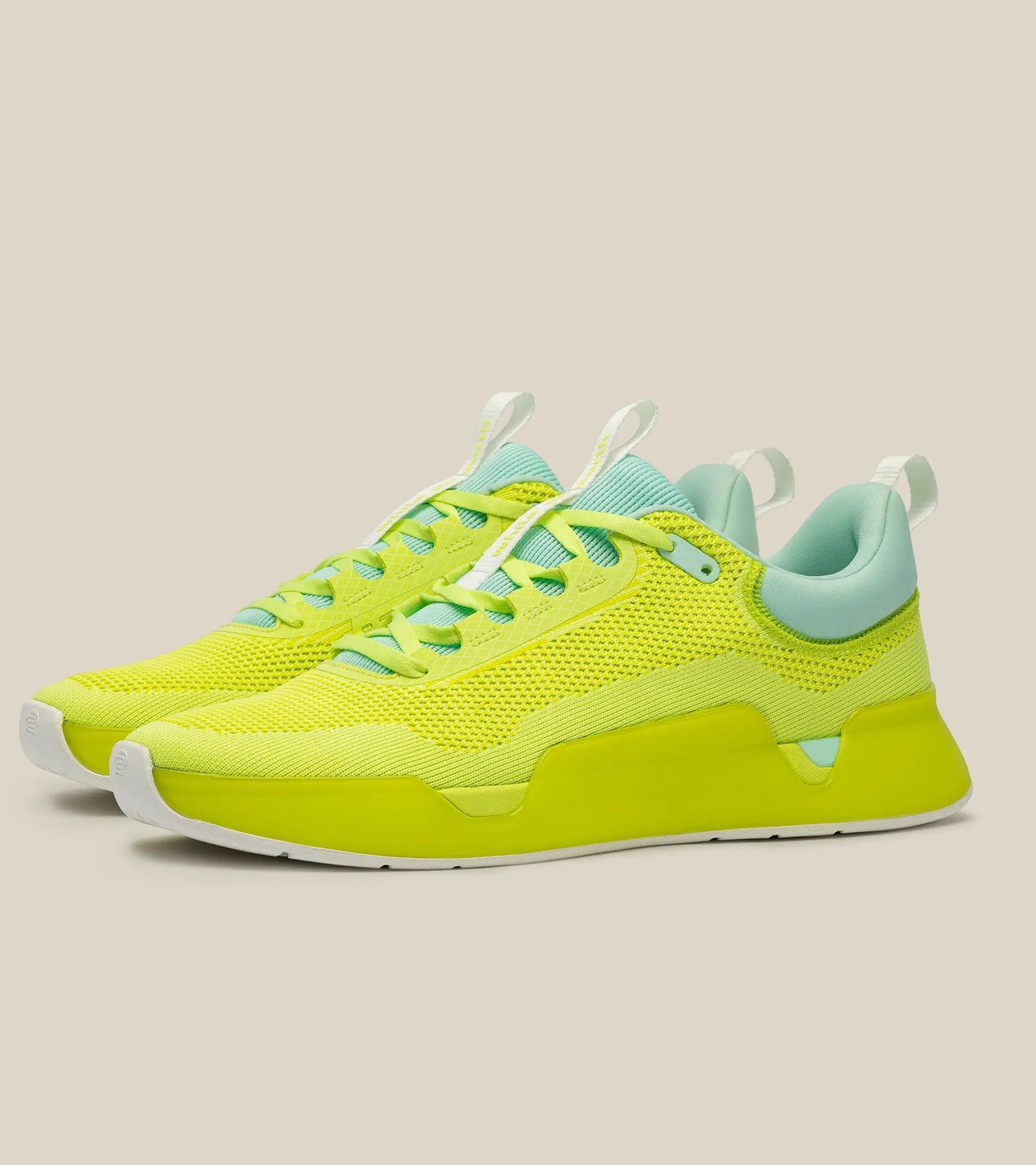 WHILE ON EARTH MOVE TRAINER