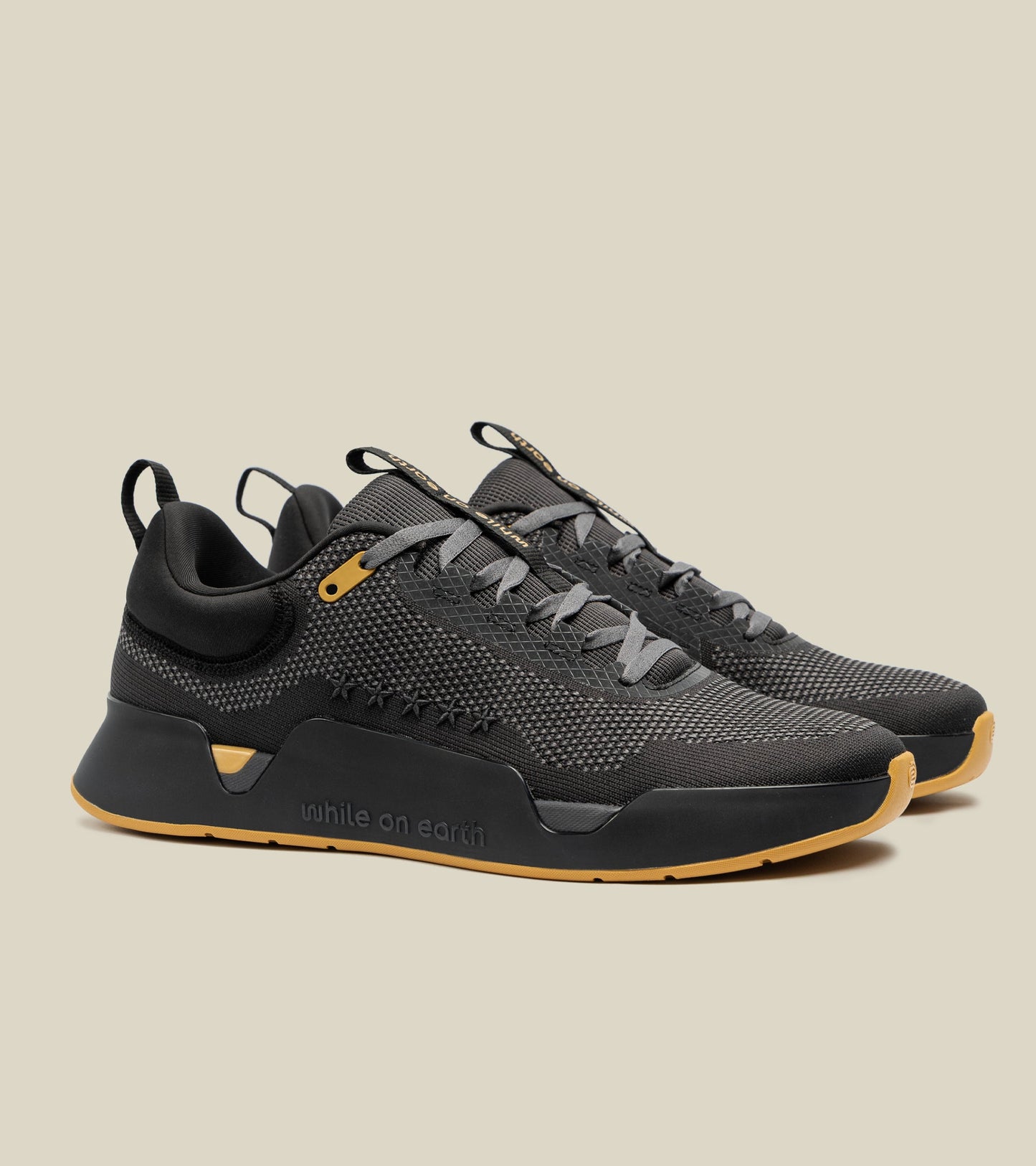 While on earth limited edition legacy move trainer