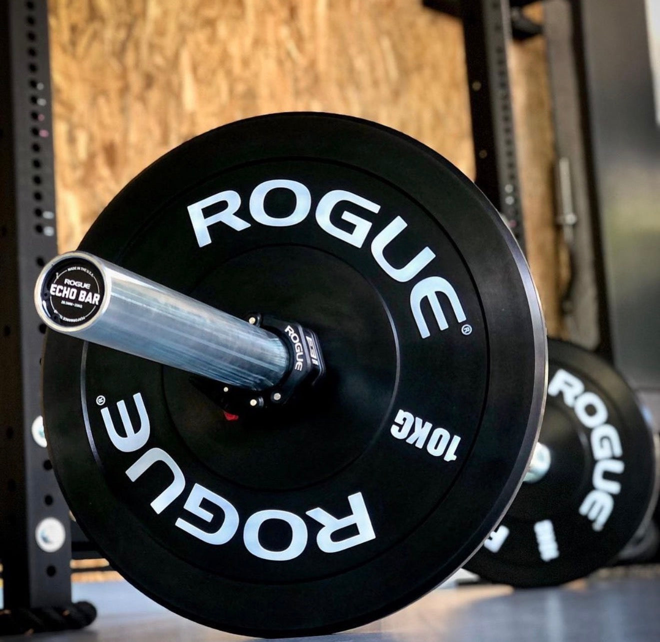 ROGUE ECHO BAR 2.0 (45lb)