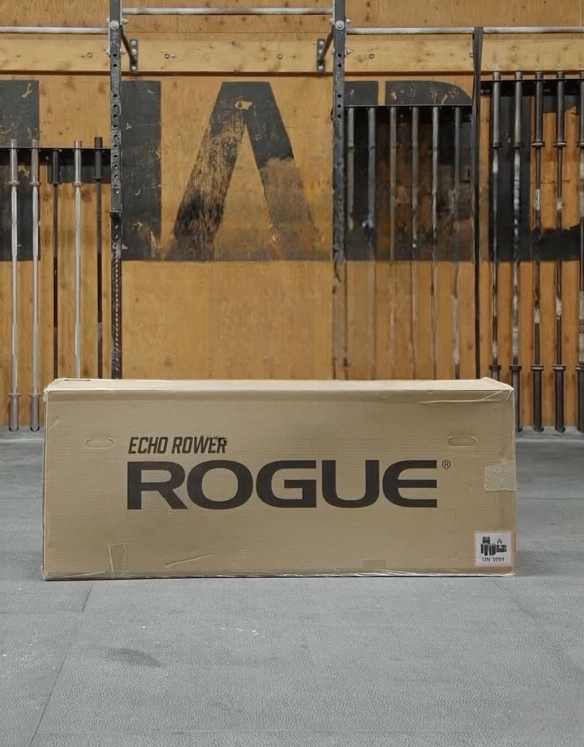 ROGUE ECHO BIKE V3.0 + ROGUE ECHO ROWER V1
