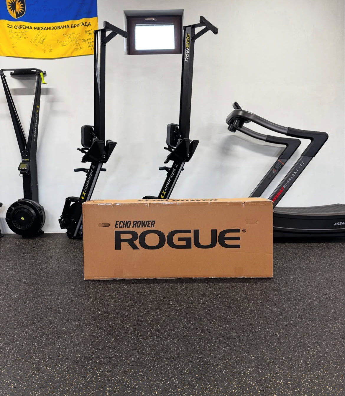 ROGUE ECHO ROWER V1