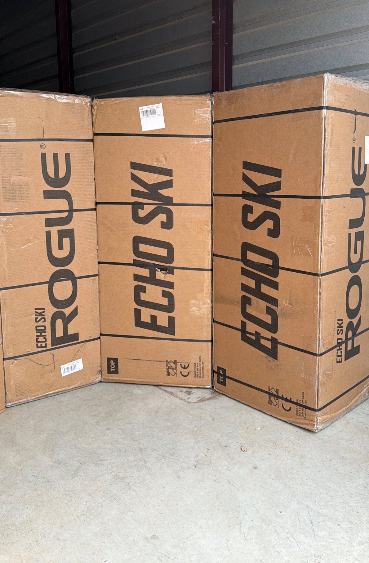 REMADORA ECHO + ECHO SKI CON STAND