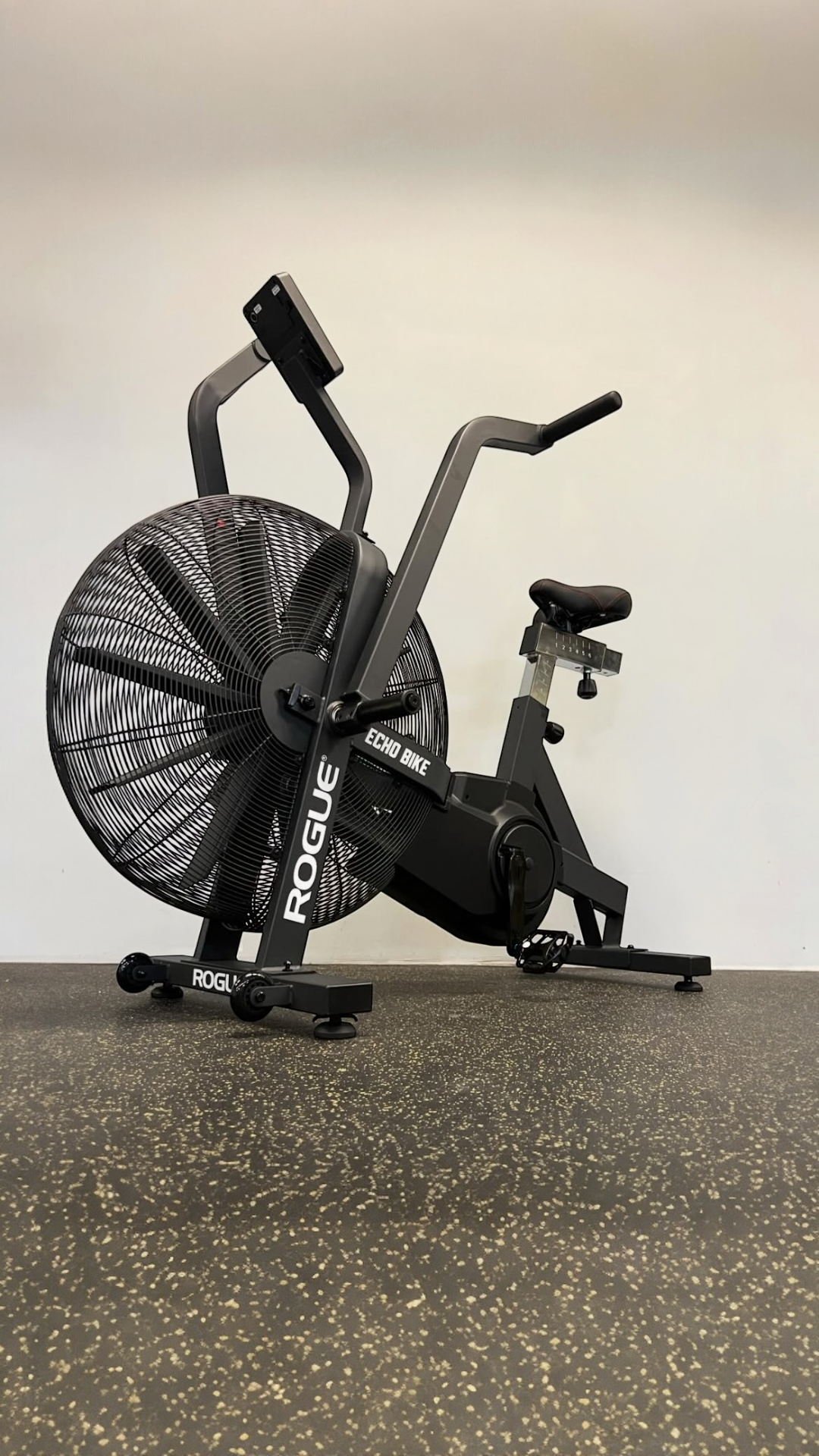 ROGUE ECHO BIKE V3.0