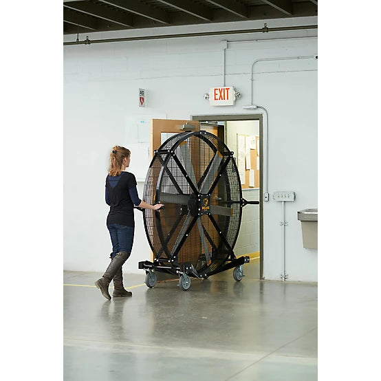 BigAssFans