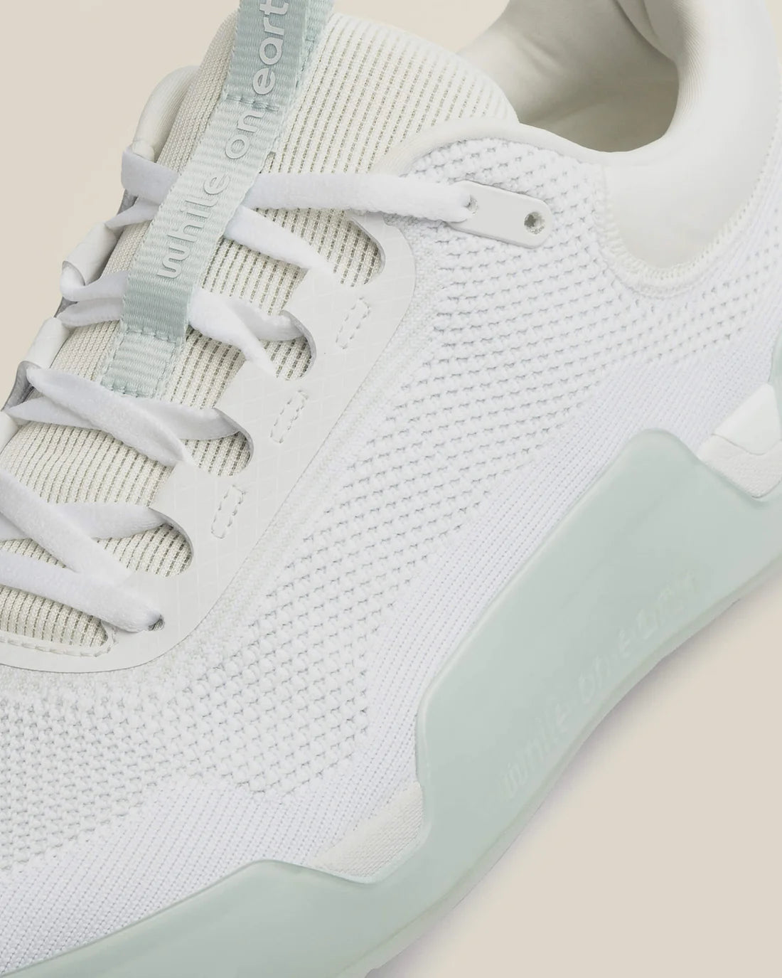 While on earth move trainer
