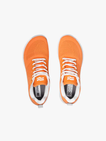 Haze Trainer