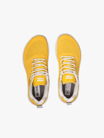 Haze Trainer