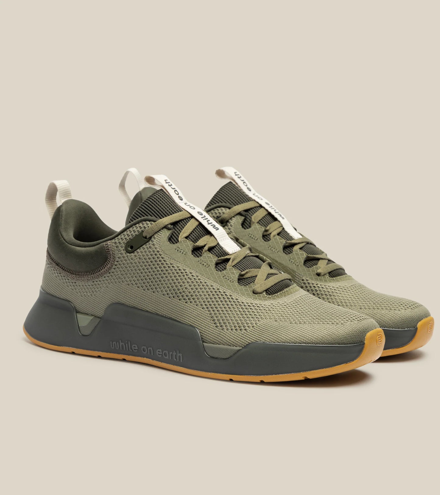 WHILE ON EARTH MOVE TRAINER
