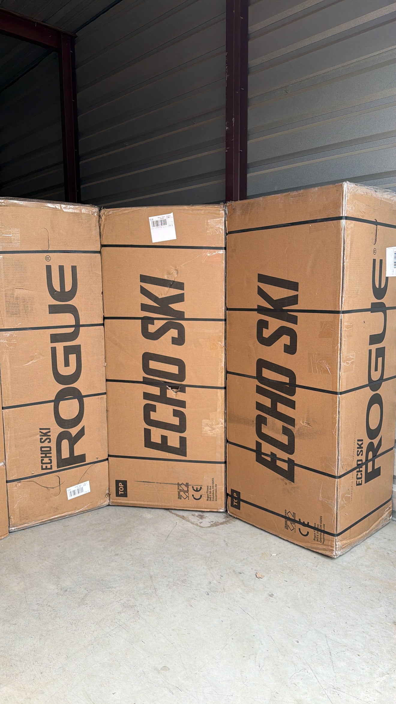Echo ski de rogue