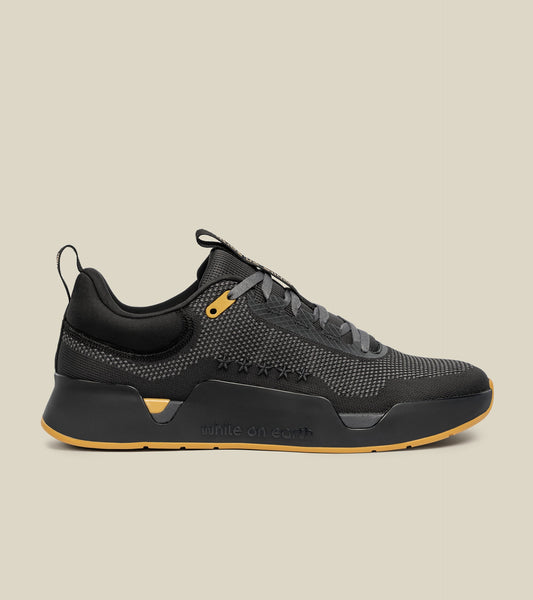 While on earth limited edition legacy move trainer