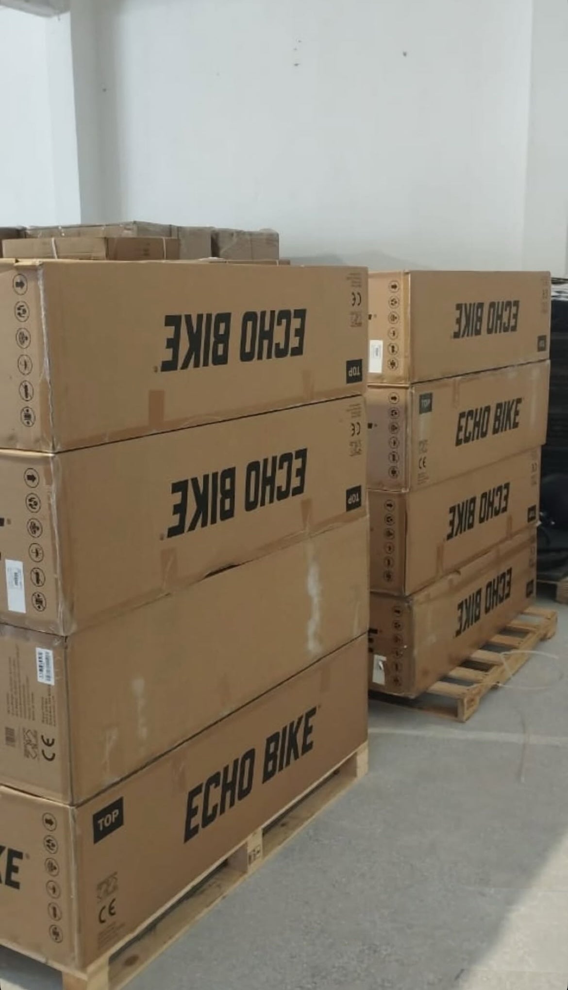 ROGUE ECHO BIKE V3.0