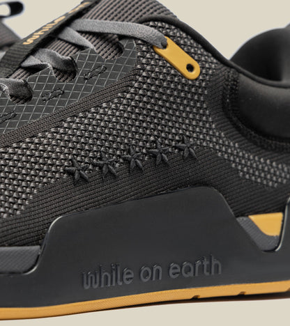 While on earth limited edition legacy move trainer