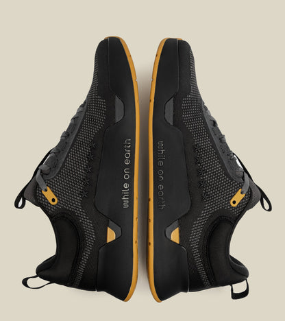 While on earth limited edition legacy move trainer