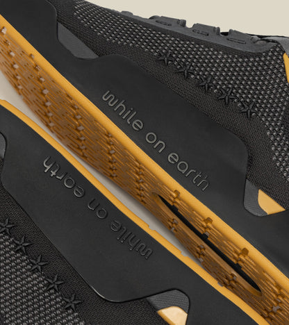While on earth limited edition legacy move trainer