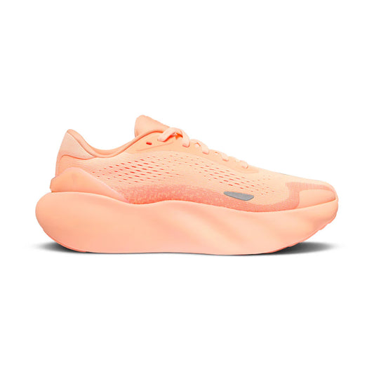 RAD MALLOW SOLAR CORAL