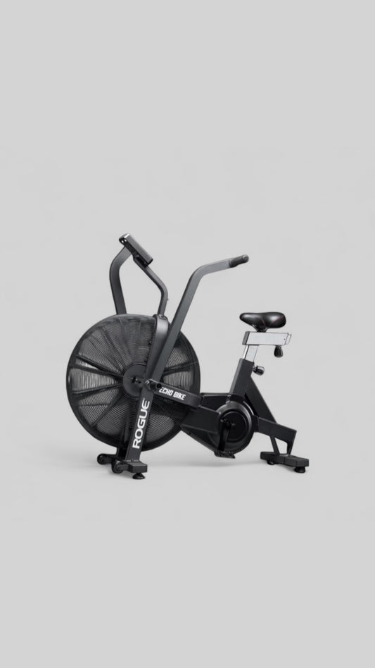 ROGUE ECHO BIKE V3.0