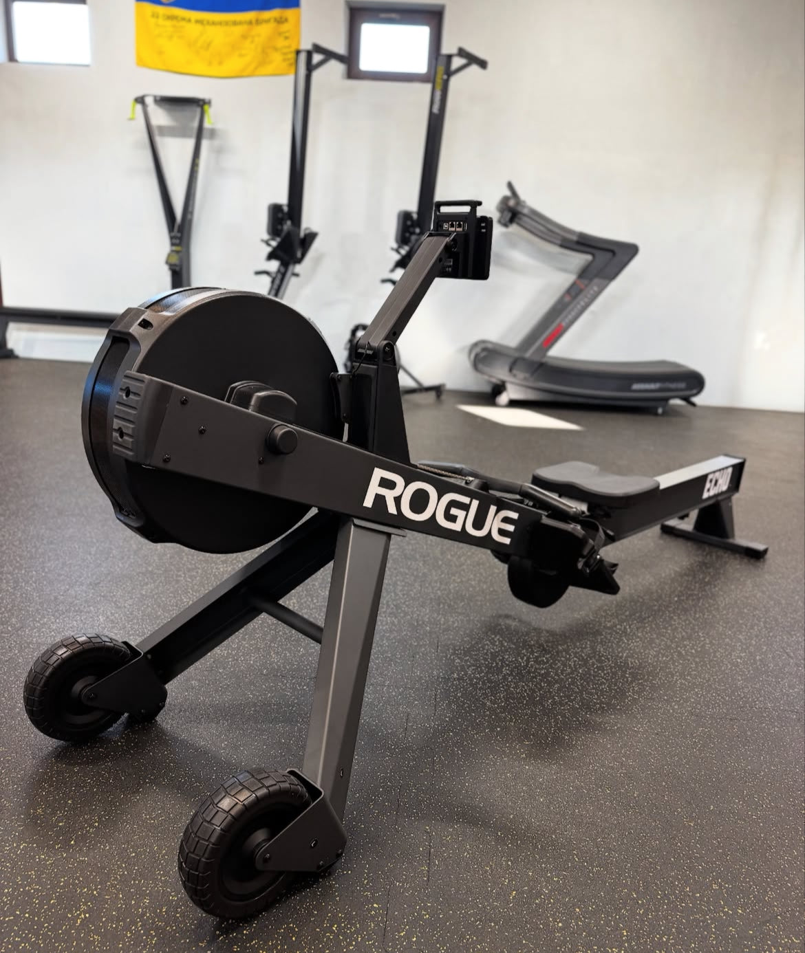 ROGUE ECHO ROWER V1 – Training Store