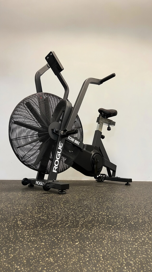 ROGUE ECHO BIKE V3.0