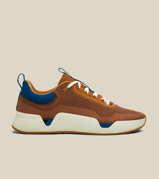 While on earth move trainer