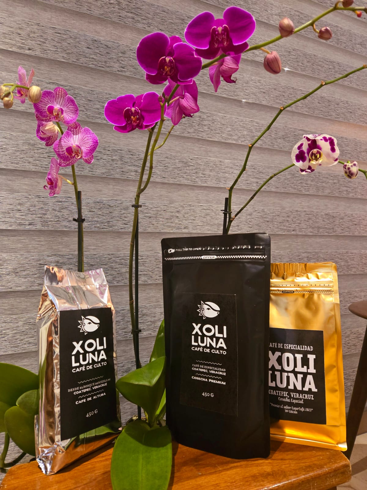 CAFÉ DE CULTO (XOLI LUNA)